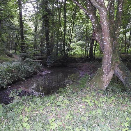 L'Etang Villa Val-Couesnon ภายนอก รูปภาพ